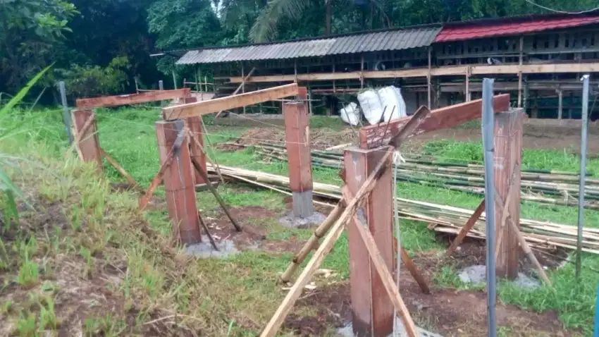 Jasa profesional tukang harian atau borongan
