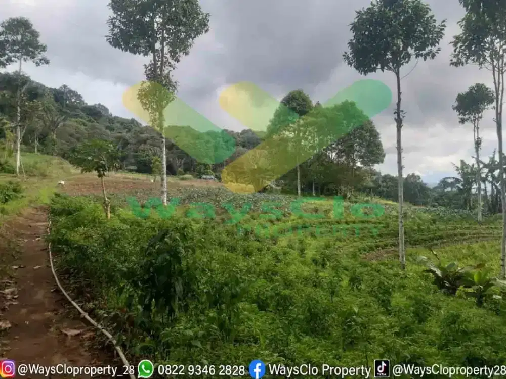 Dijual Cepat Tanah Cantik Dan Menarik Di Tomohon Harga Sangat Murah Tanah