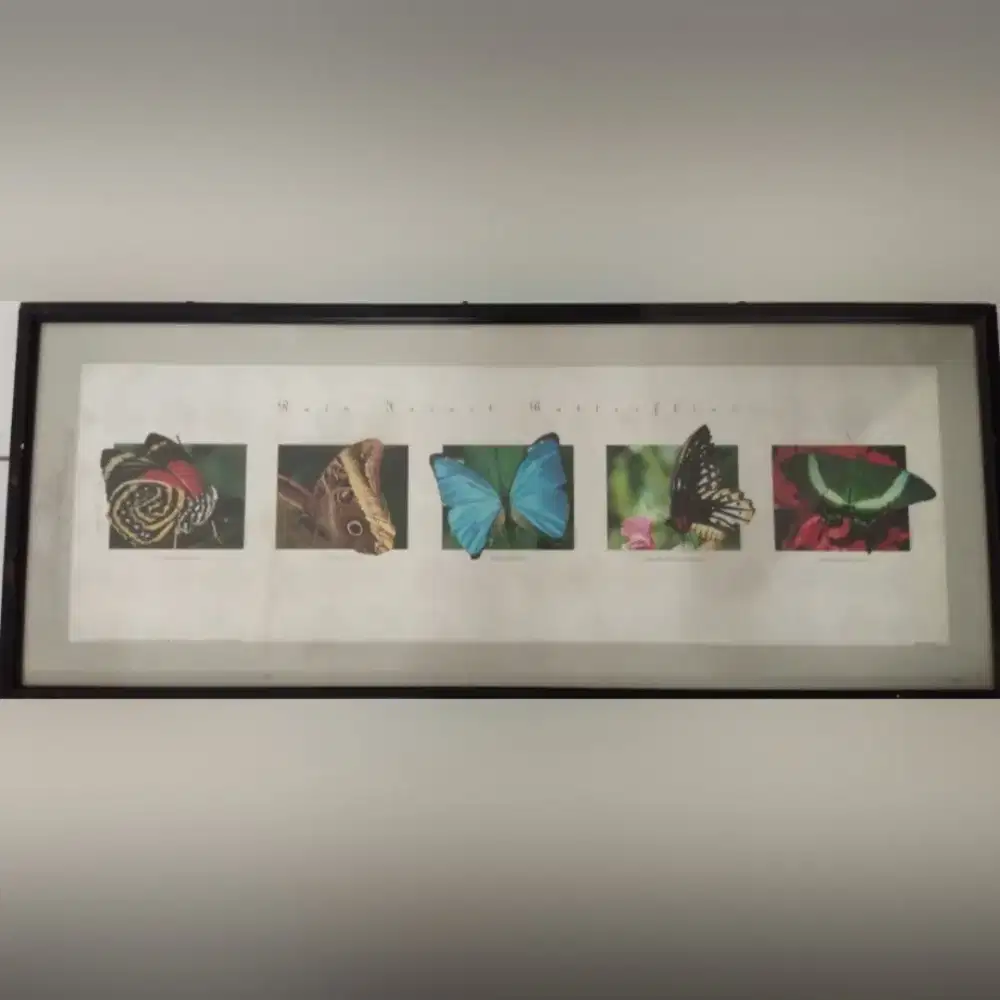 Hiasan dinding gambar Kupu Kupu