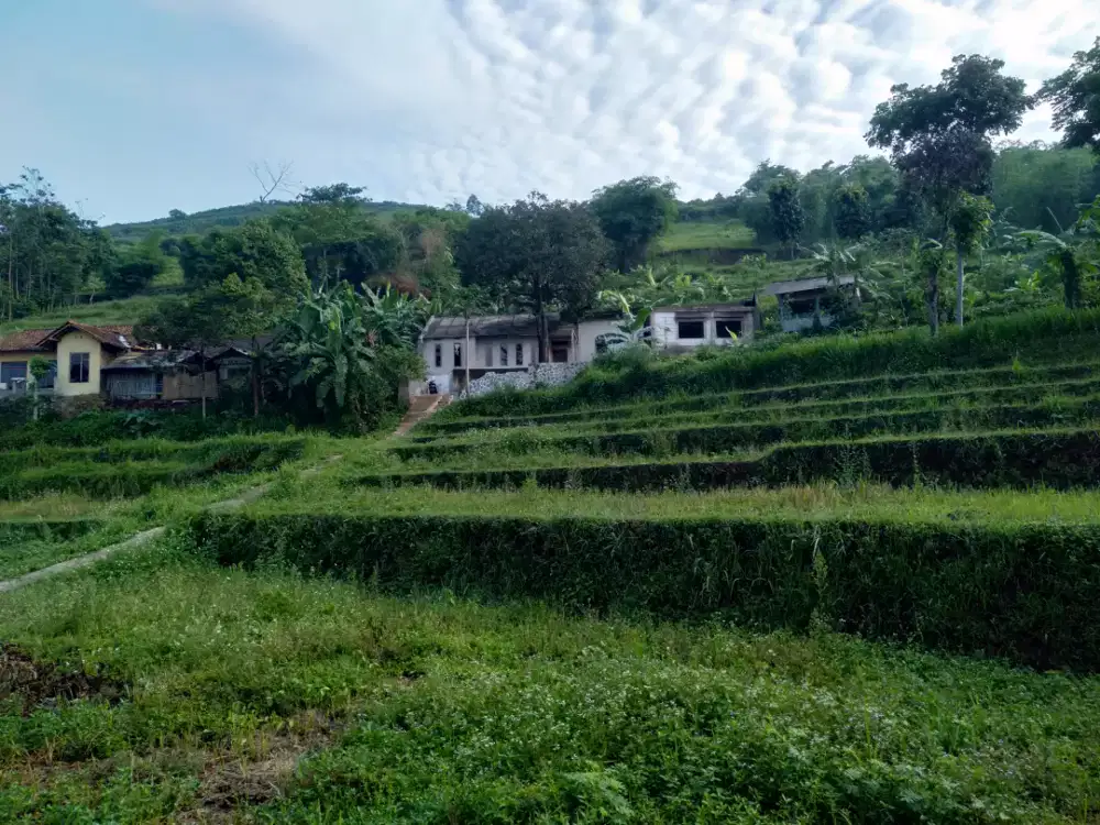 tanah cicalengka 6,untuk investasi