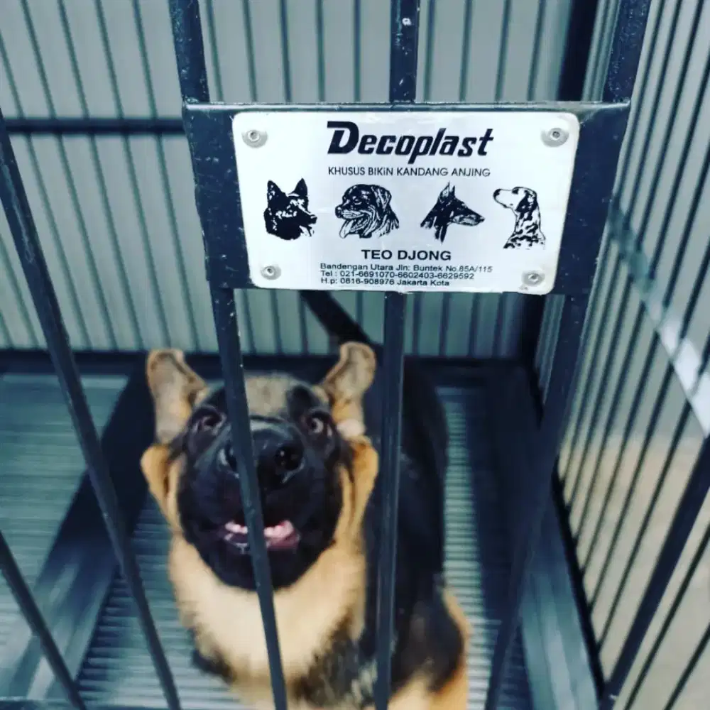 Decoplast--- jual kandang khusus anjing besar