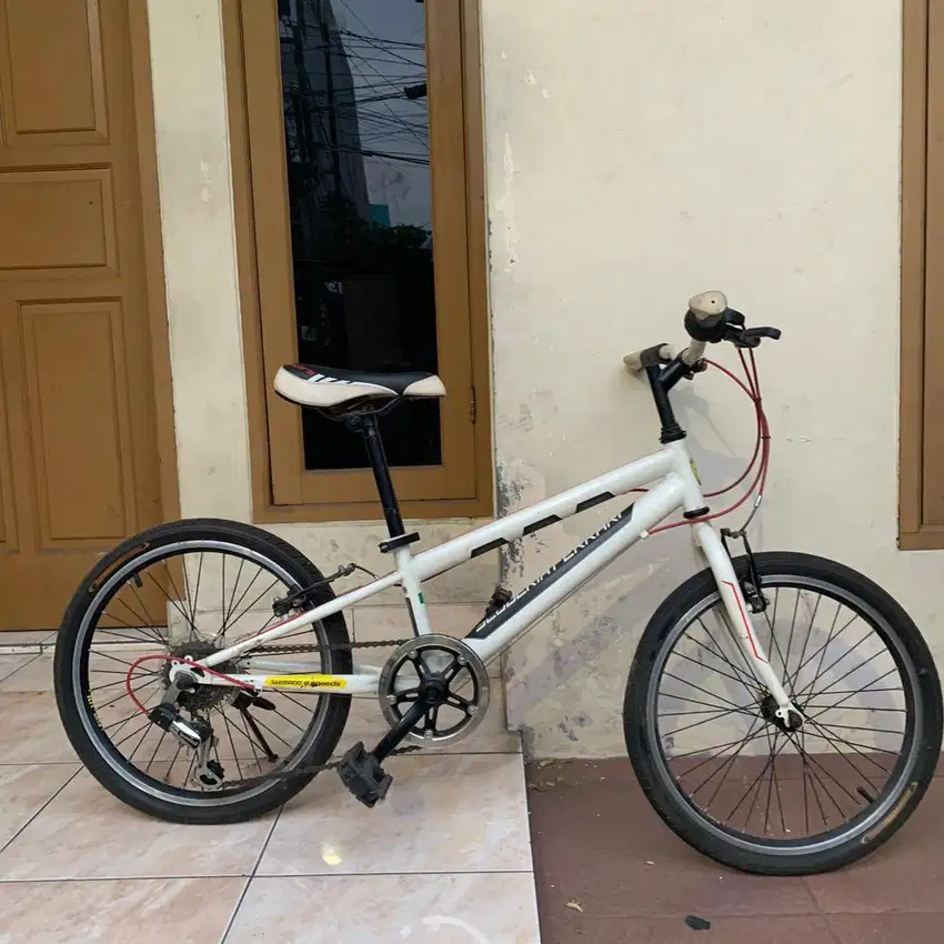 Sepeda anak ferrari