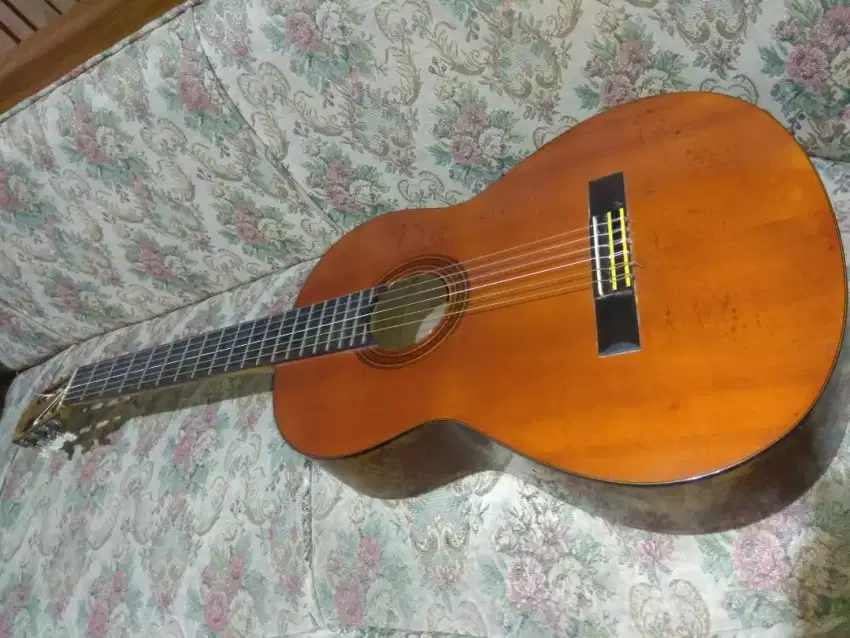 Gitar klasik vintage CG 110