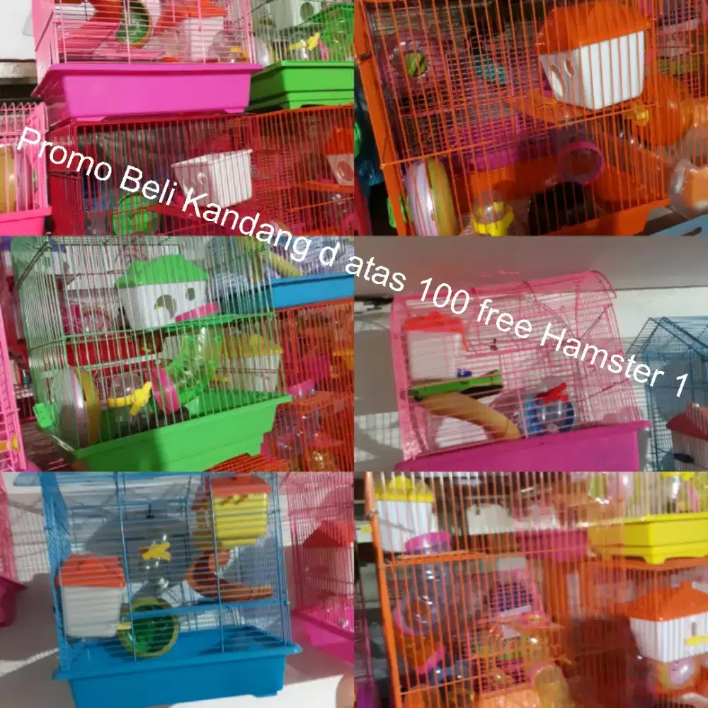 Kandang hamster #2
