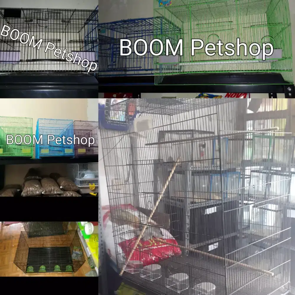 kandang kuliar sugar glider . burung. kelinci