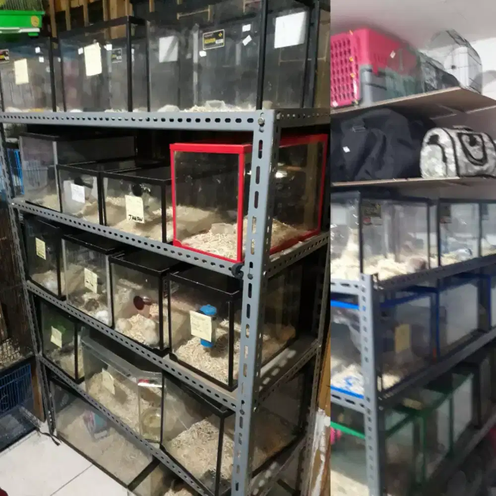 penitipan hamster , sugar glider, landak mini