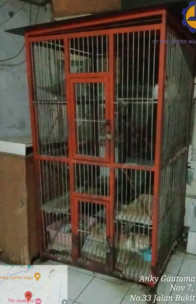 Kandang 2 tingkat dan 2 pintu