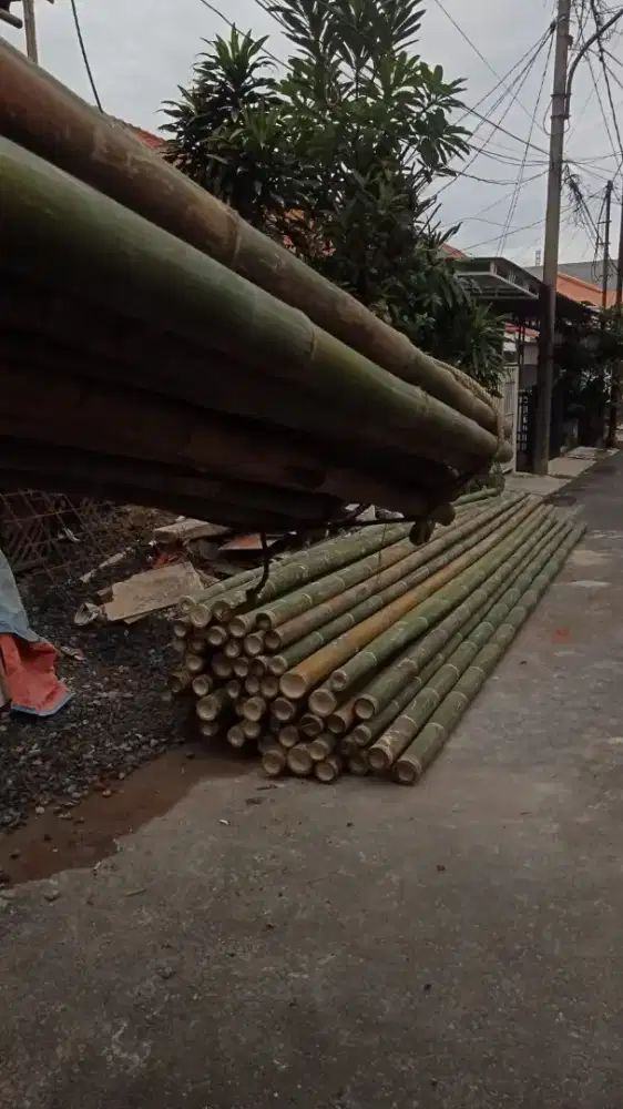 Jual bambu stger dan kaso