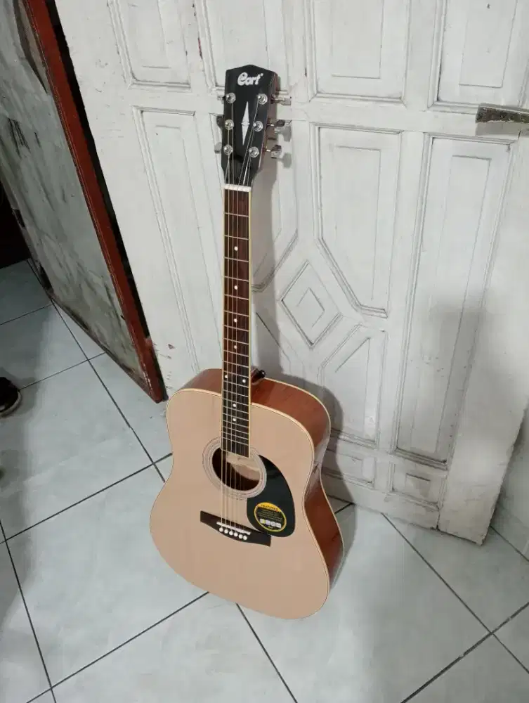 Gitar akustik cort natural jumbo