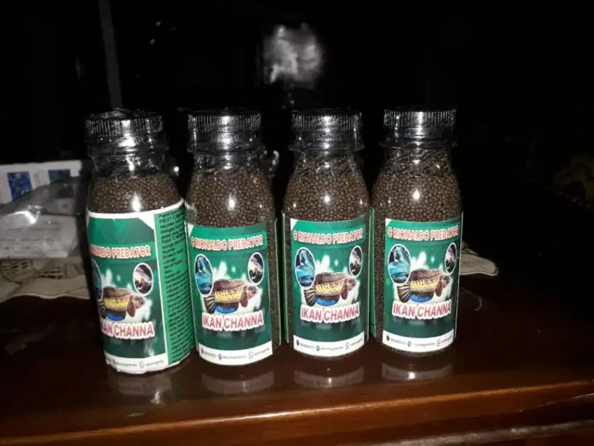 Pelet chana dan predator beli 6 free 1 freee ongkir se bandar lampung