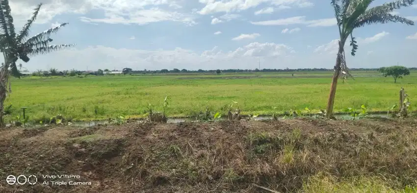 Dijual tanah sawah di sukahurip kp turi Sukatani Kabupaten Bekasi