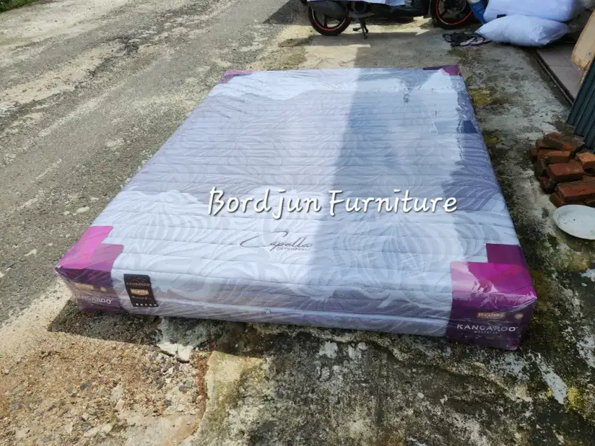 Matras kesehatan orthopedic kangaroo