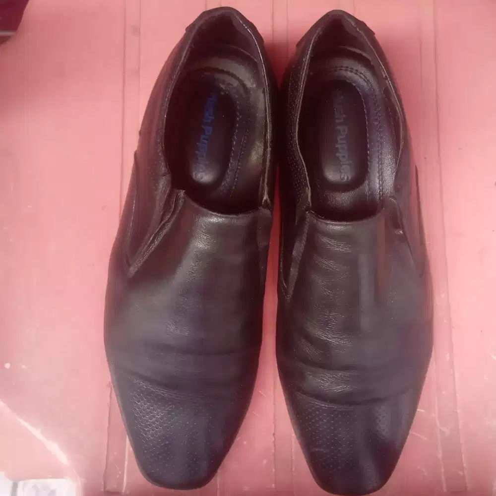 Olx sales hush puppies