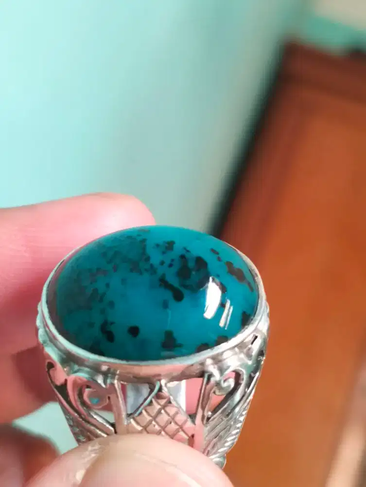 Bacan Klimis Coklat Totol