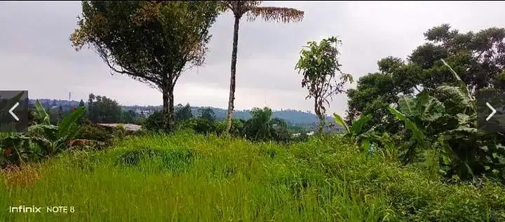 Tanah Cocok untuk Villa Dekat Wisata Air Terjun Cilember