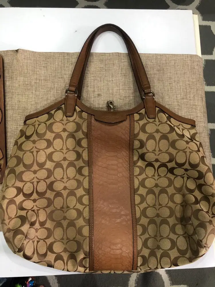 Coach Hobo Bag Authentics
