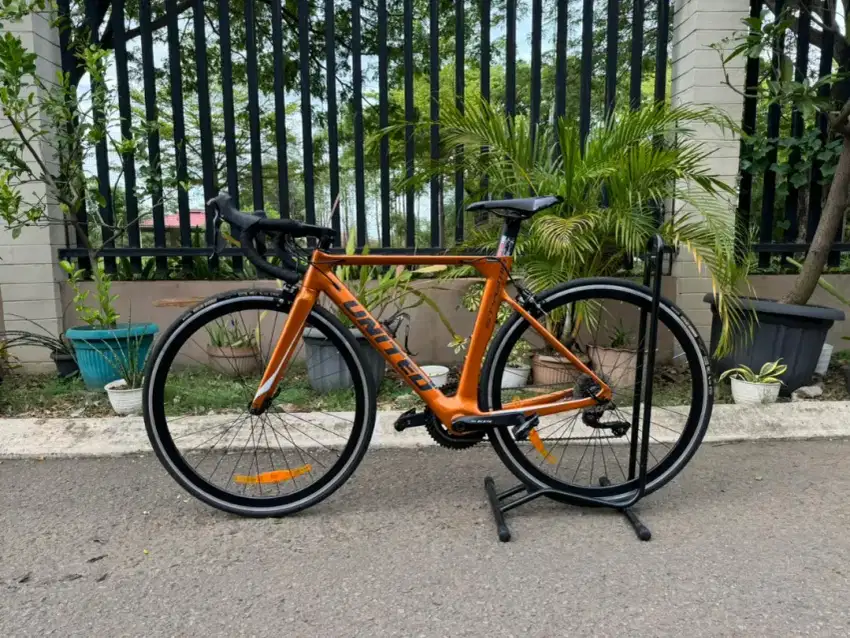 WTS Sepeda Roadbike / Balap Carbon United Stygma Size 50, Claret