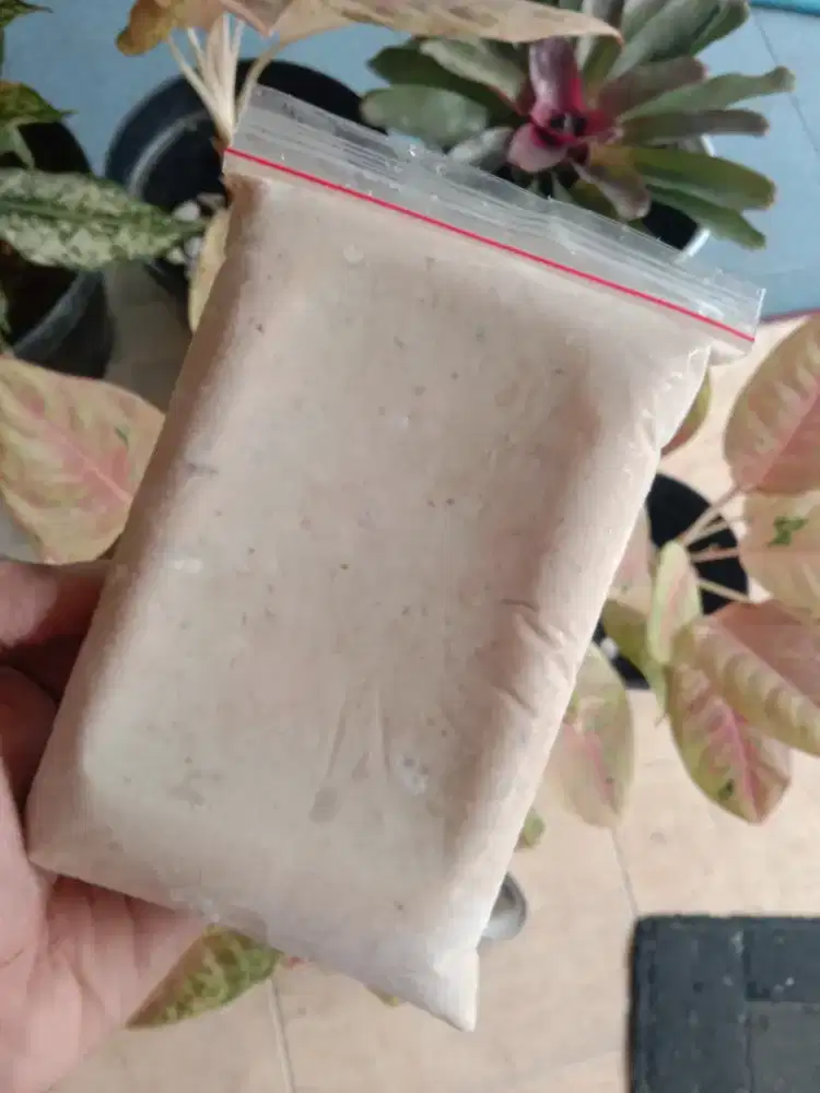 Tengiri Giling Terlaris