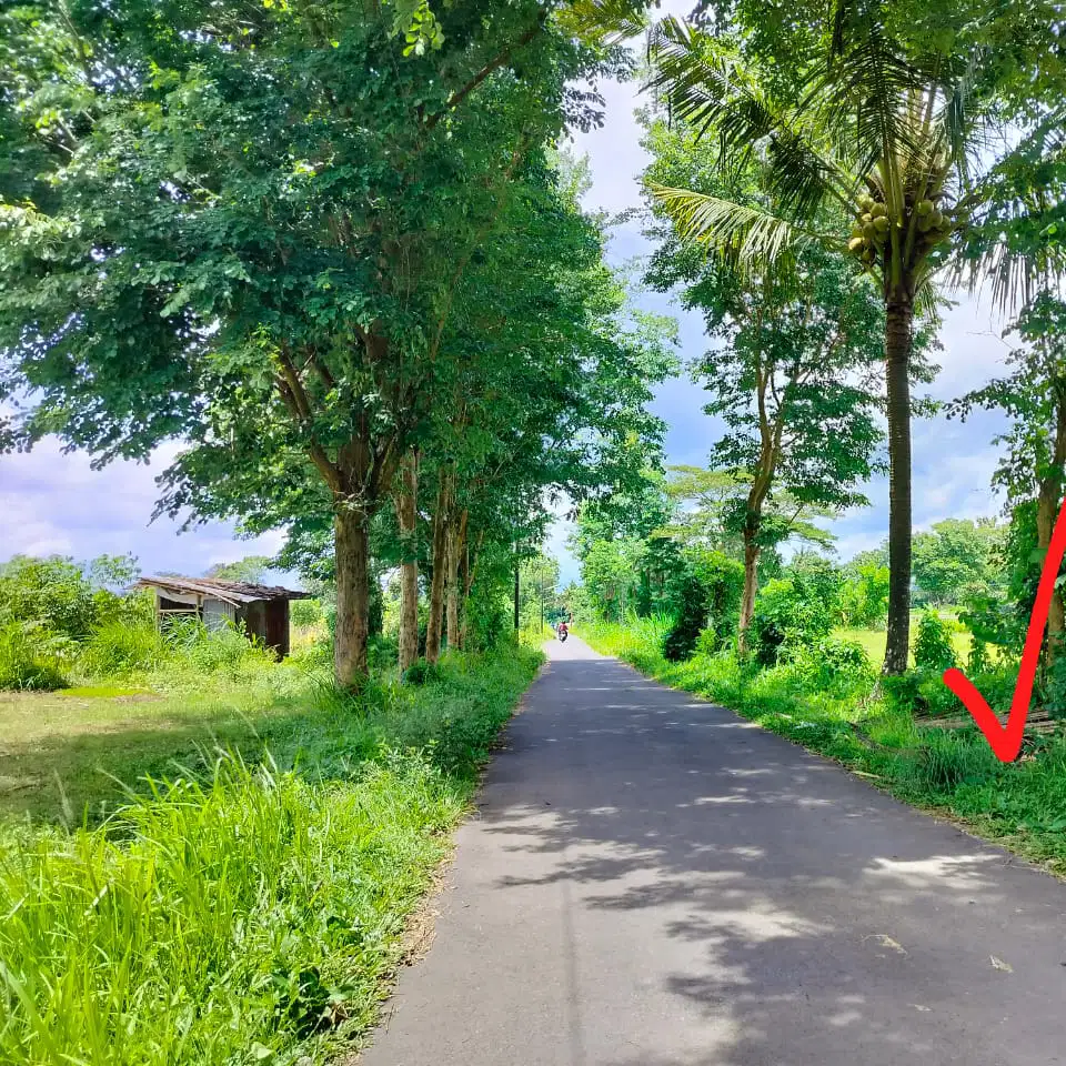 Dijual Tanah Strategis View Sawah Gn Merapi Area Jalan Palagan Tanah