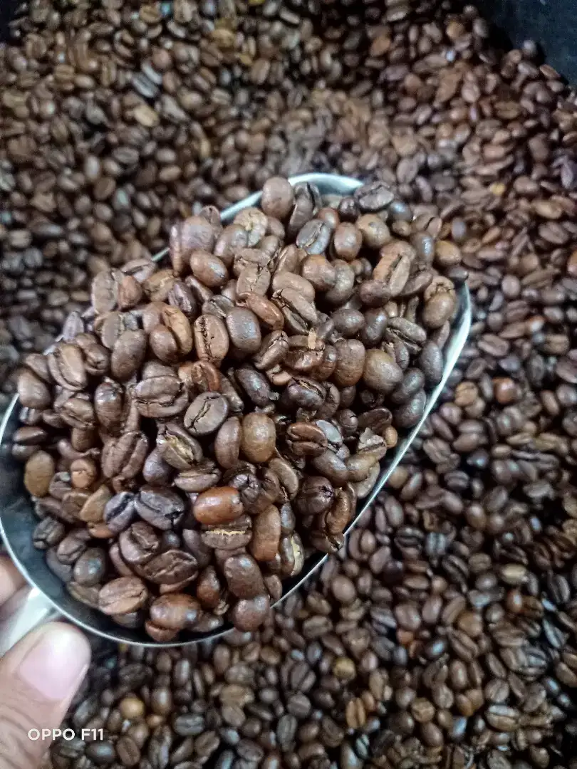 KOPI GAYO ACEH PREMIUM KWALITAS NO 1/GAYO BEAN 500 GRAM