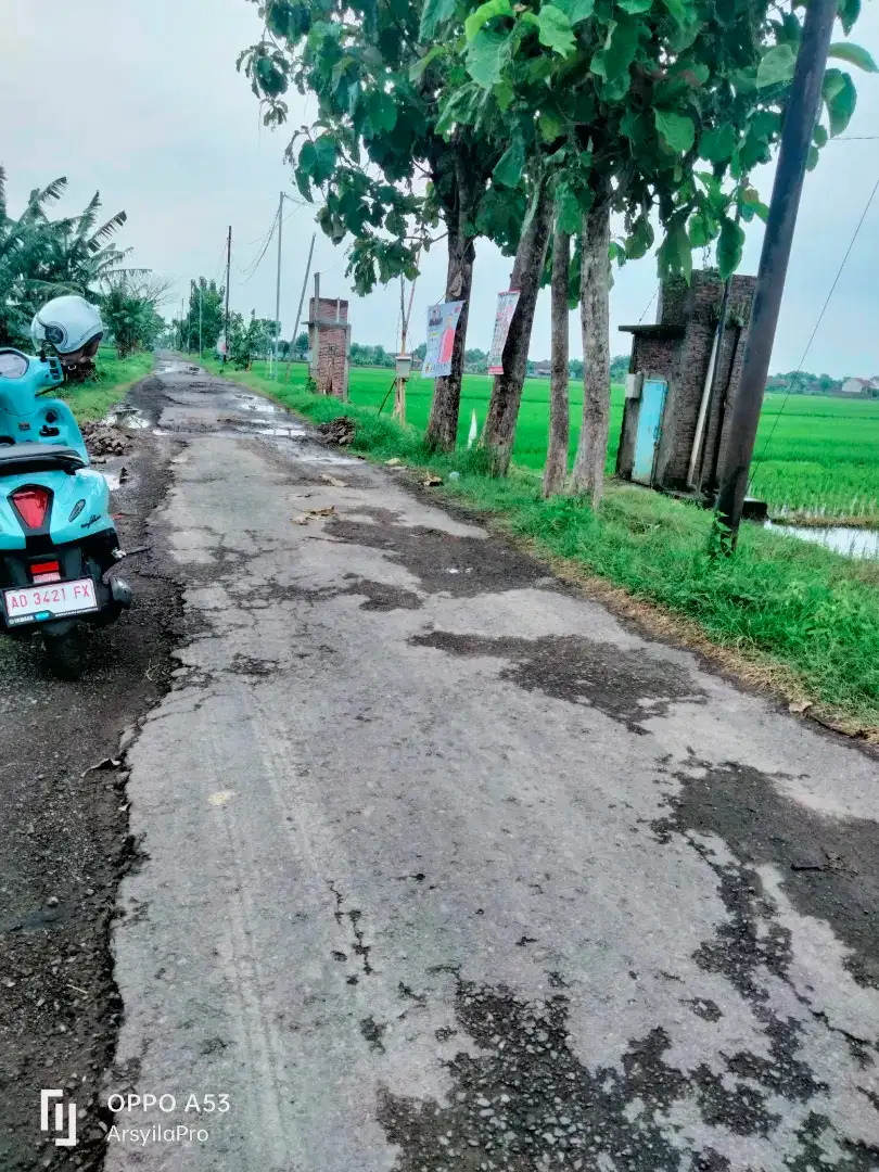 DIJUAL TANAH SAWAH TASIKMADU