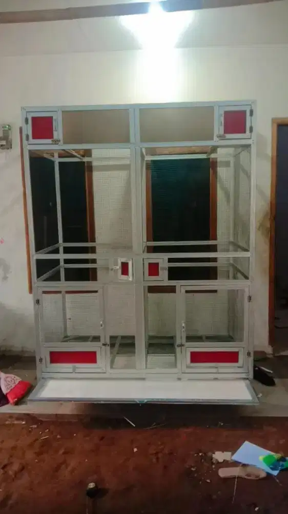 Redy stok umbaran, ternak murai, ternak kelinci dll