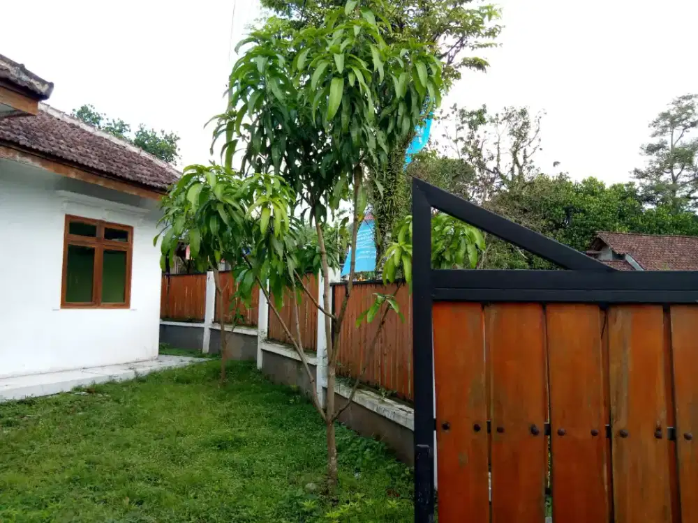 Villa prigen dekat taman Dayu hrg HANYA hitung TANAH