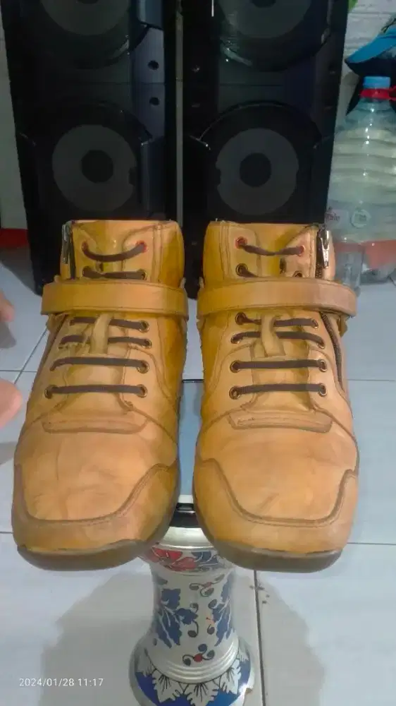 Gino Mariani ellario 3 original