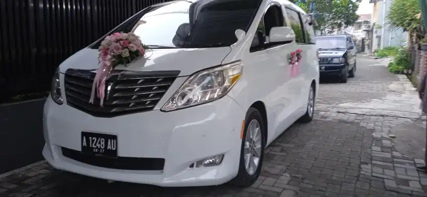 sewa mobil pengantin or rental wedding car mercy alphard