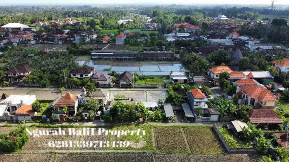 Jual Tanah Murah Luas Are View Sawah Dan Gunung Tanah