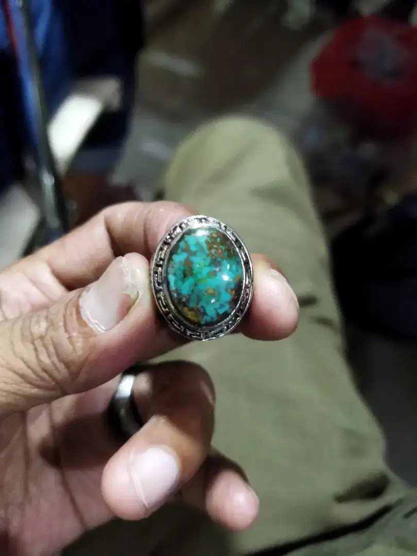 Pirus hijau kedondong