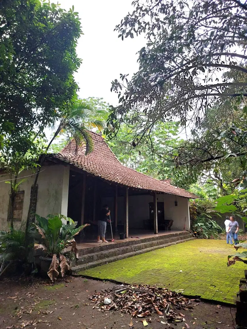 Rumah Joglo Halaman Luas Cocok Untuk Villa di Cangkringan