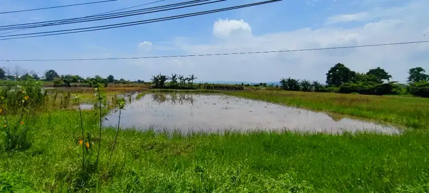 DI JUAL TANAH STRATEGIS DEPAN KAWASAN INDUSTRI KIK - KENDAL