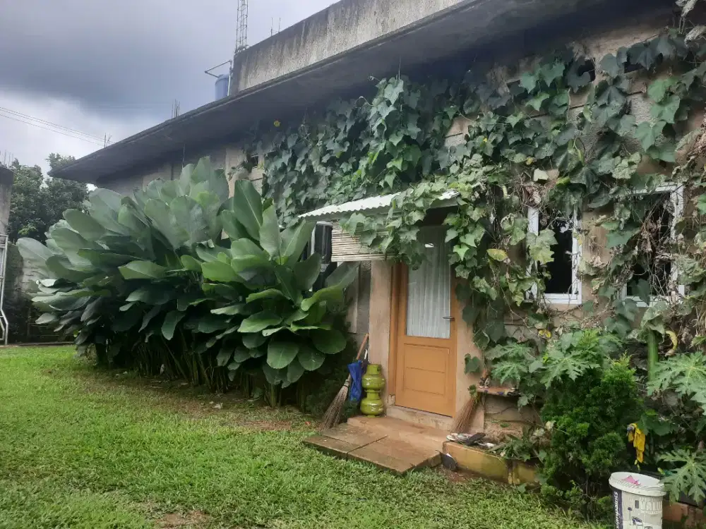 Dijual Tanah Berikut Bagunan, posisi atas MNC Lido