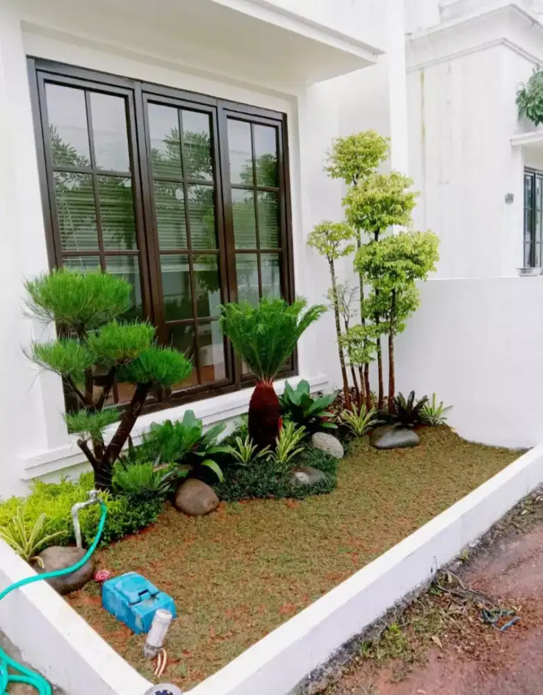 Tukang taman dan dekorasi taman vertikal garden taman minmalis