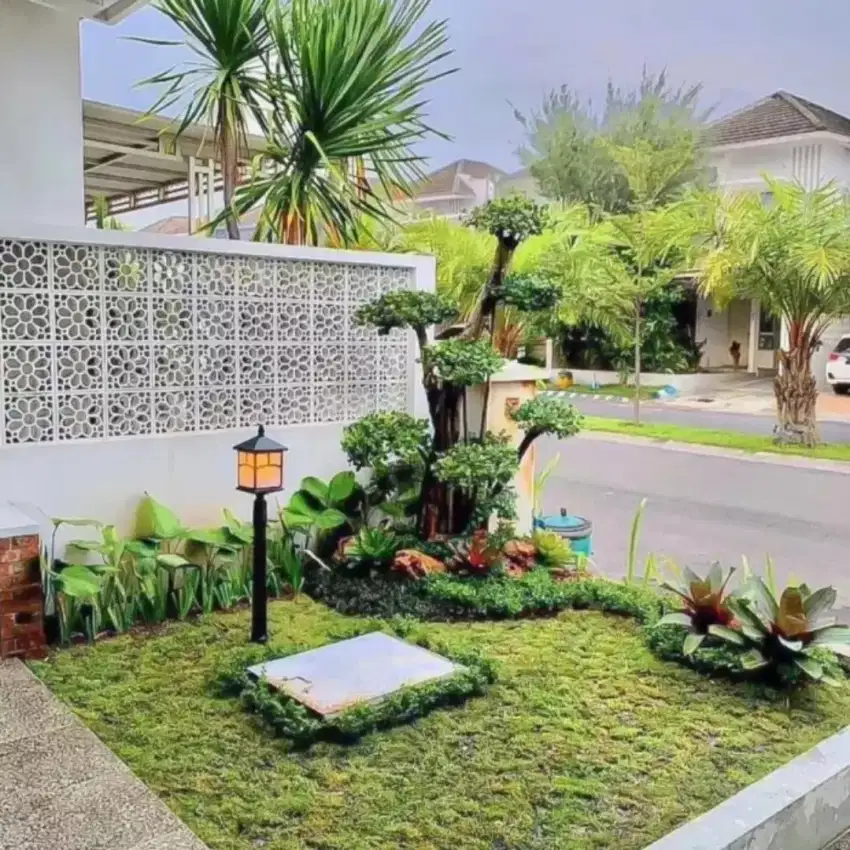 Tukang rumput gajah mini di sukabumi