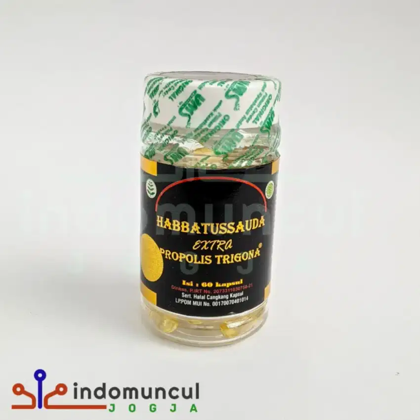habbatussauda extra propolis trigona, herbal imunitas, ginjal, dll