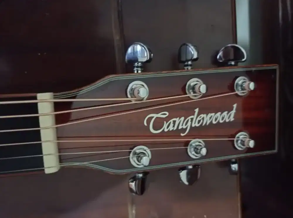 Gitar Akustik Tanglewood TW5 KOA