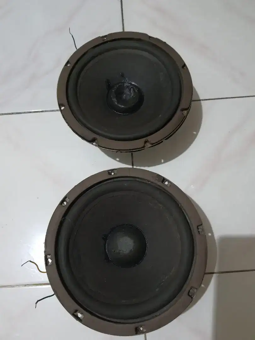2 subwoofer Bose 301 seri 1