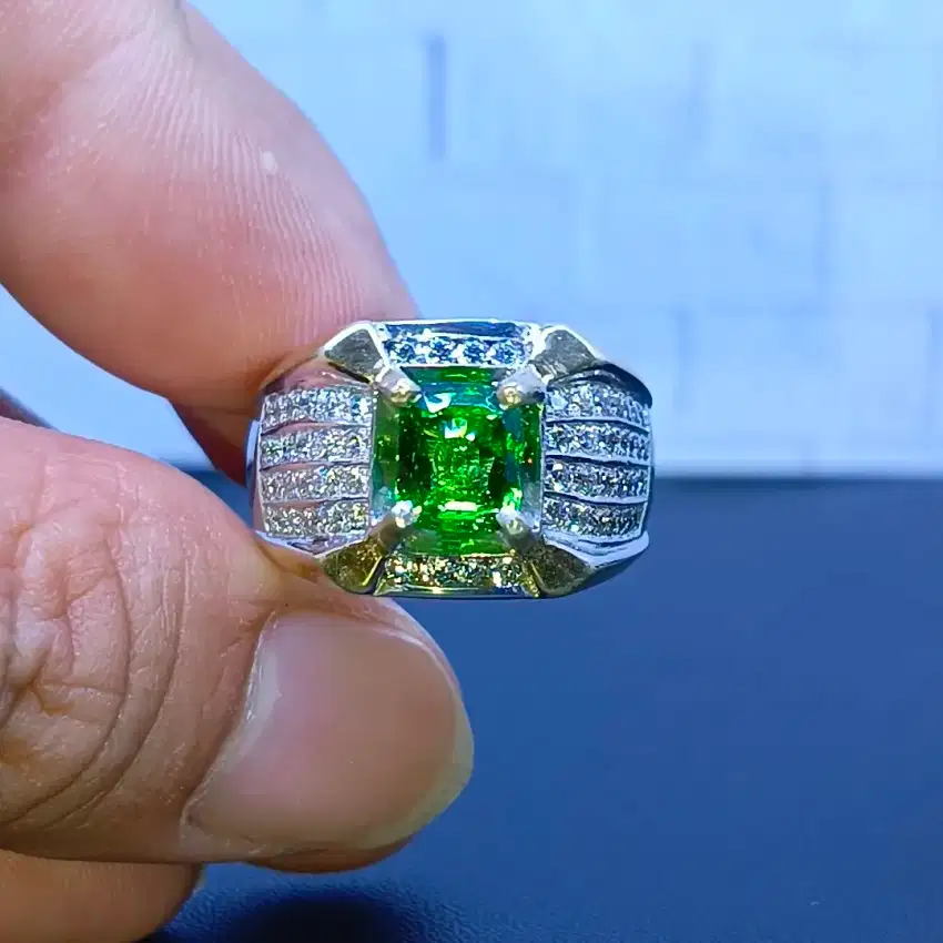 Green Tsavorite Langka khusus kolektor