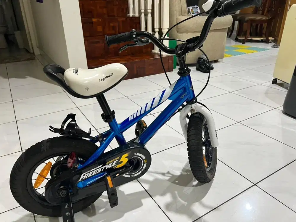 Royal Bike yang berkualitas tinggi, langsung impor