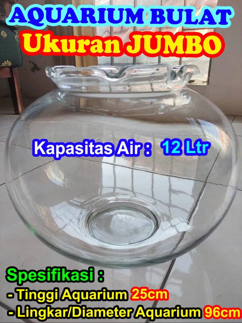 AKUARIUM/AQUARIUM BONUS 1 IKAN MANFISH & 1 IKAN PLATTY