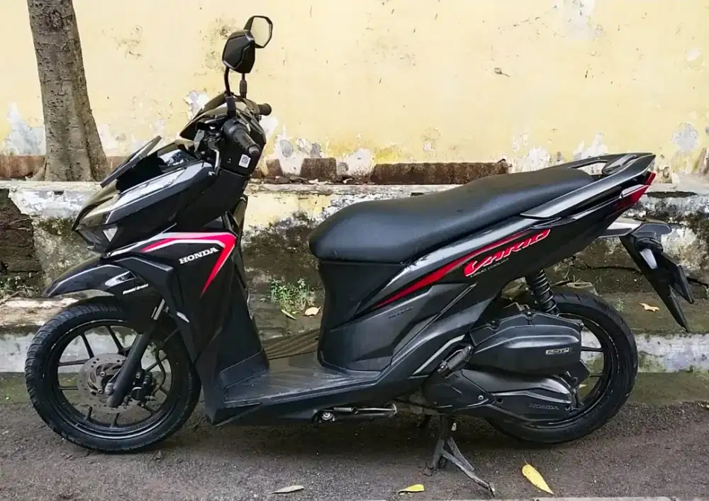 Vario 2019 mulus
