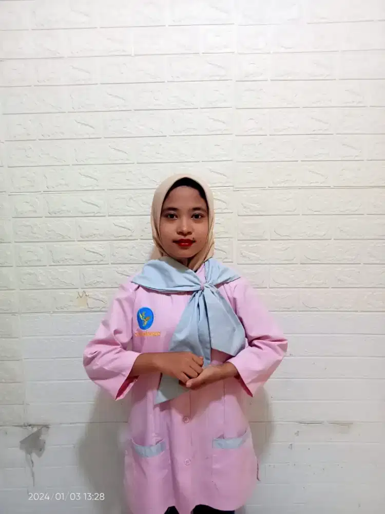 ART Pembantu PRT Baby Sister Suster Lansia