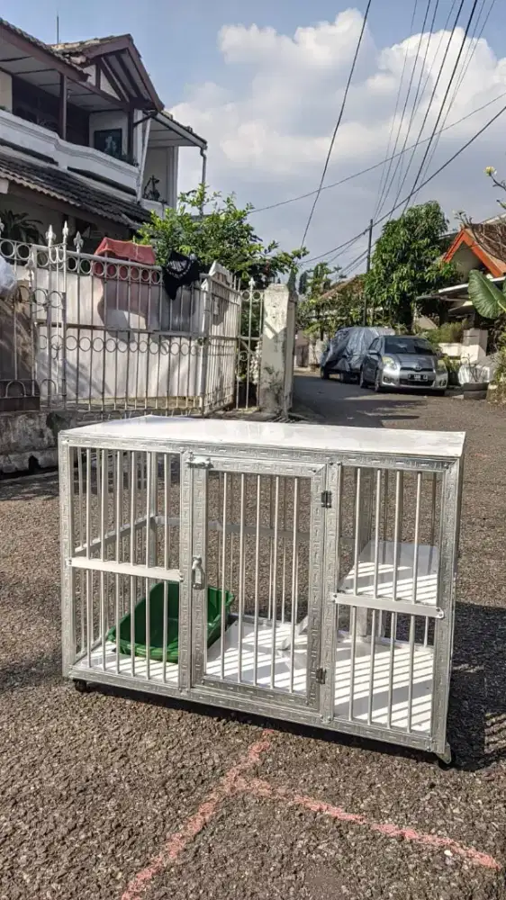 Kandang kucing muraaaaah