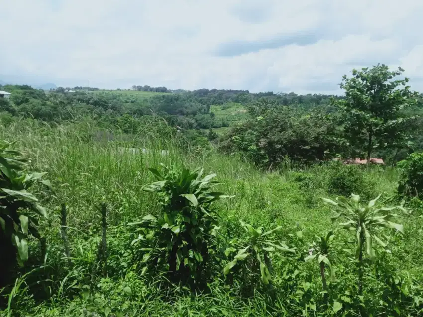 Di jual tanah dengan view bagus