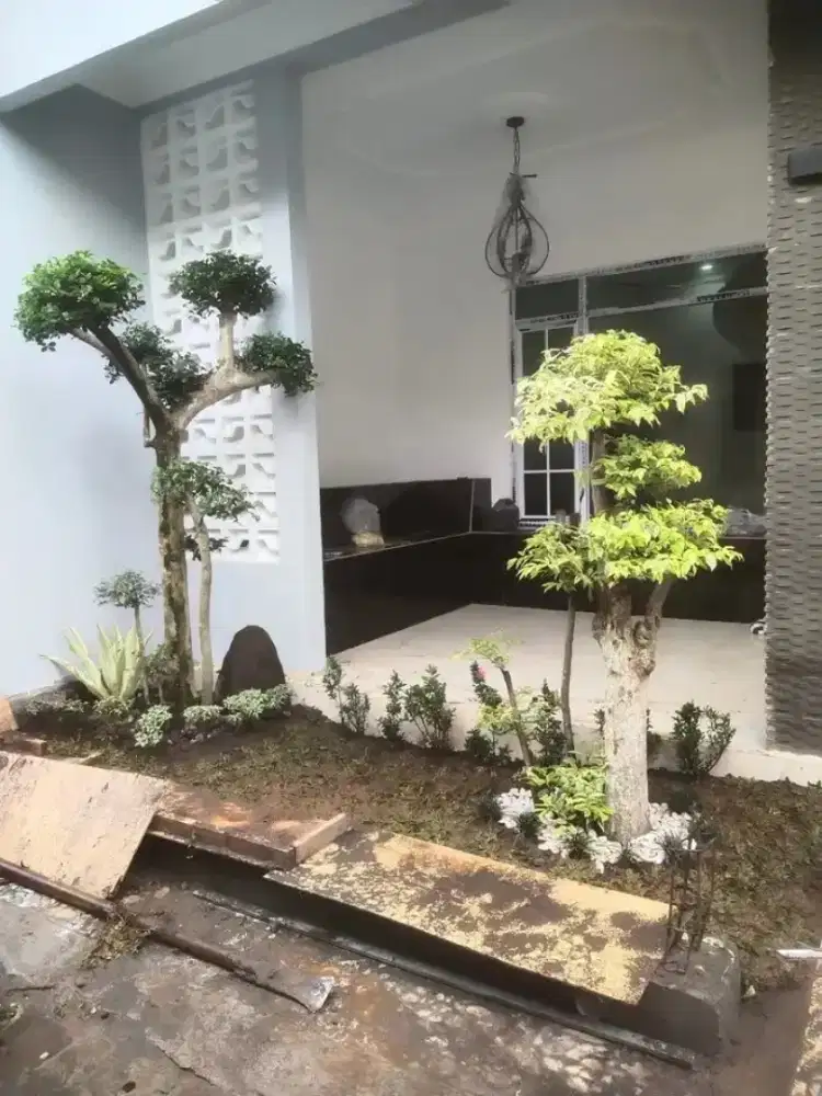 Tukang taman/jual berbagai jenis rumput gajah