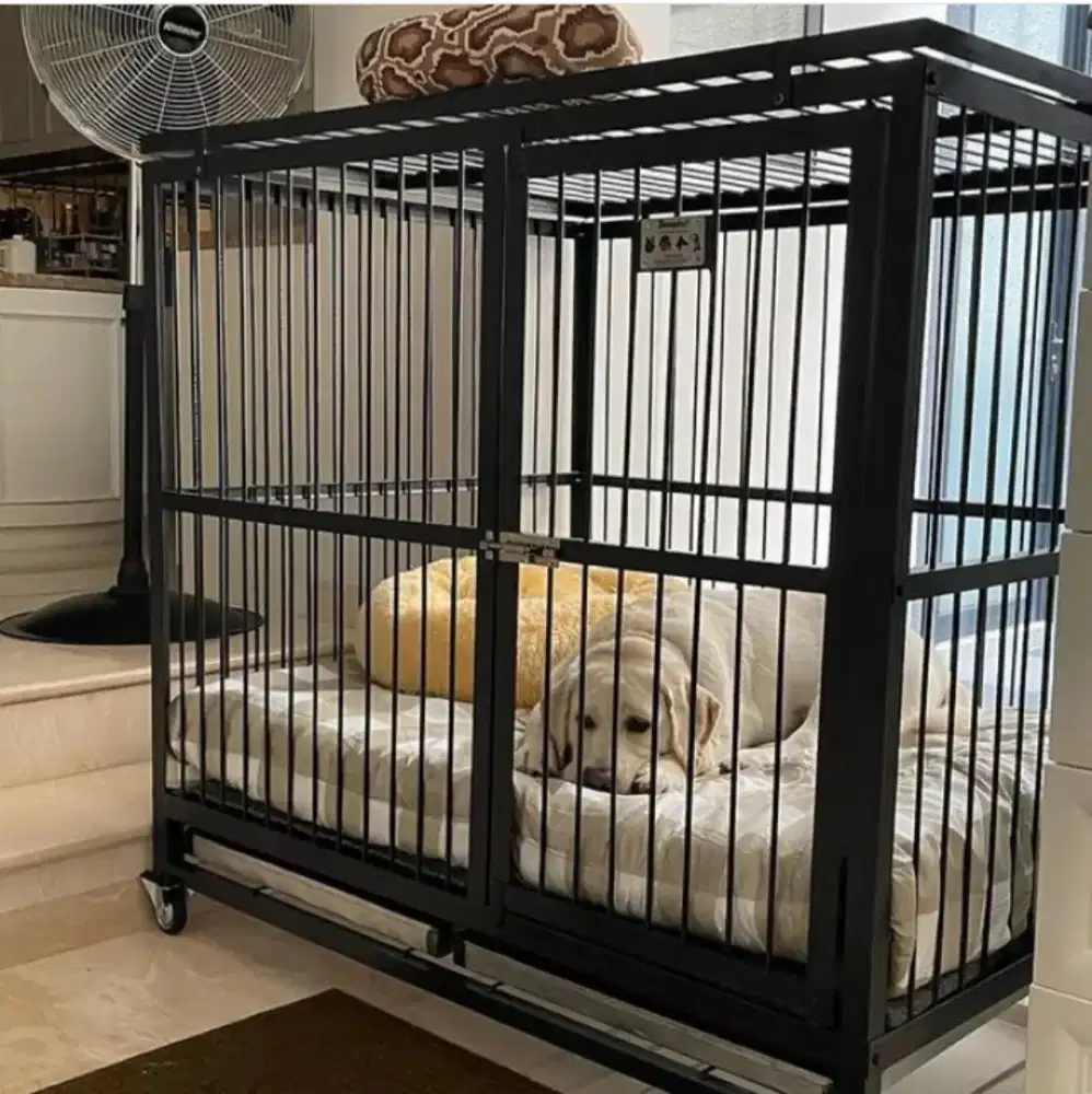 Jual kandang anjing berkualitas