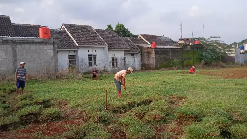 Tukang taman dan penjual rumput