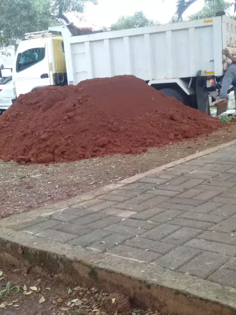 Jual tanah merah dan tukang taman